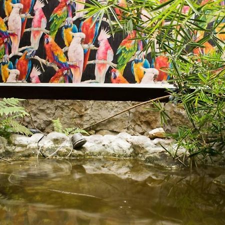 Suites Casa Lozada بوغوتا المظهر الخارجي الصورة