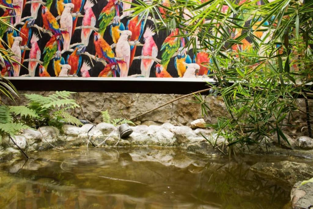 Suites Casa Lozada بوغوتا المظهر الخارجي الصورة
